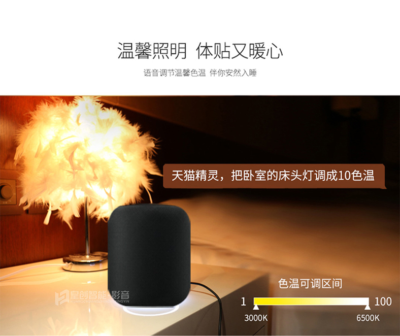 照明系統 照明系統